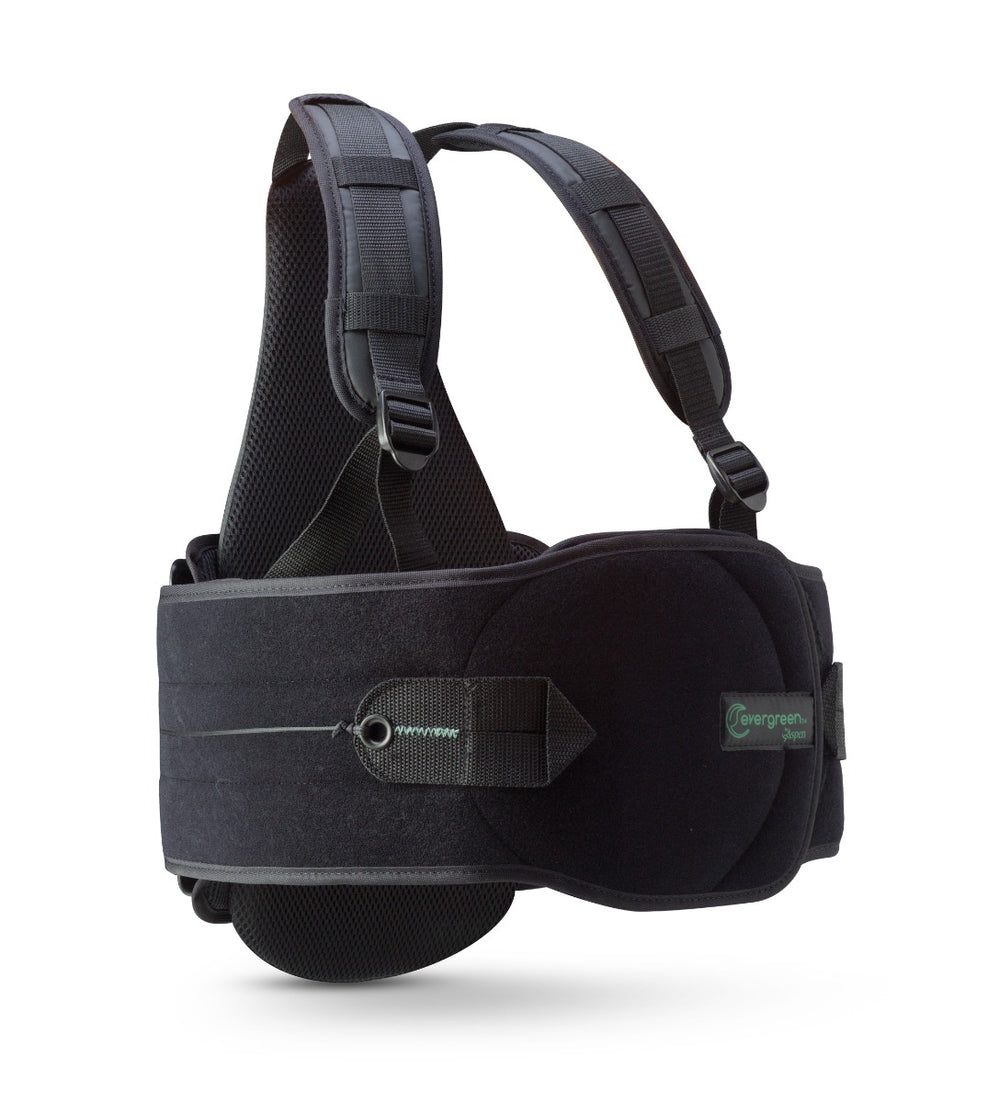 evergreen_01_1_1000x.jpg?v=